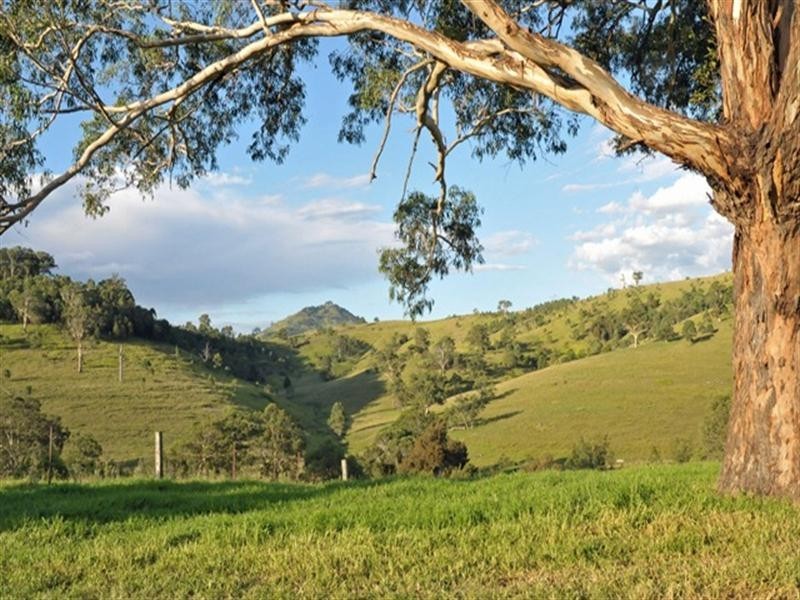 Lostock NSW 2311