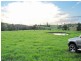 Lostock NSW 2311