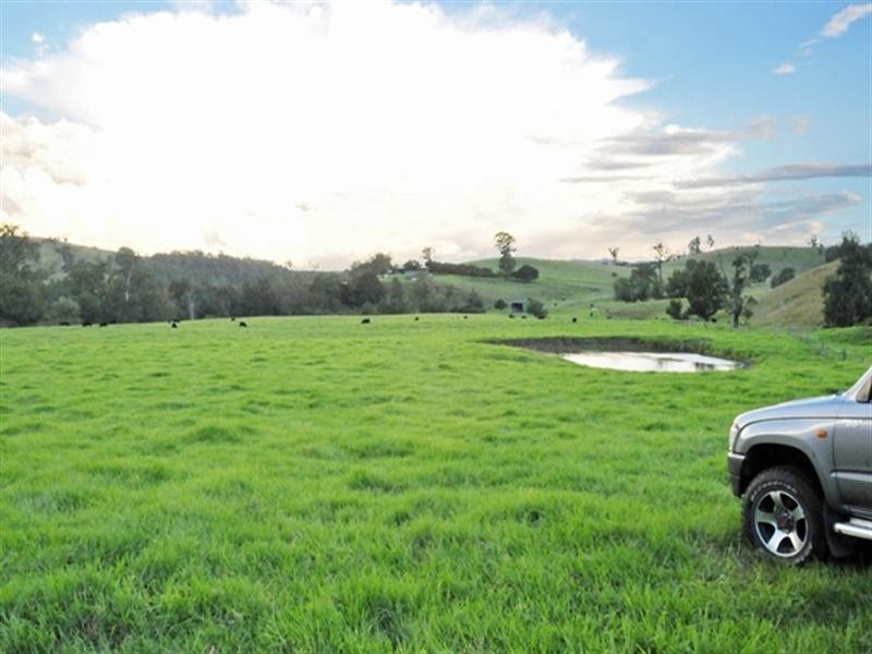 Lostock NSW 2311