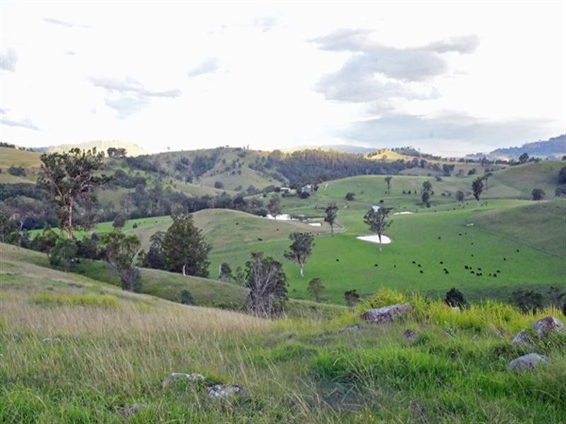 Lostock NSW 2311