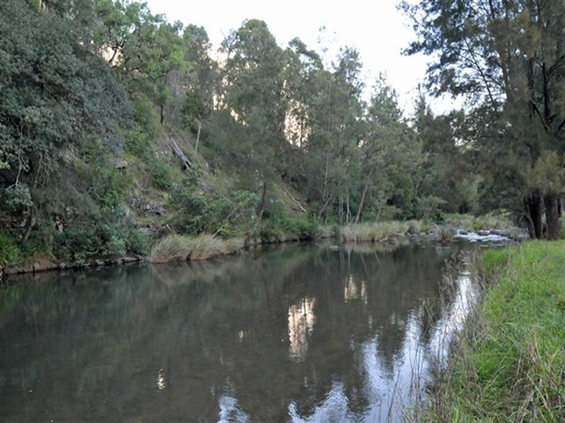 Lostock NSW 2311