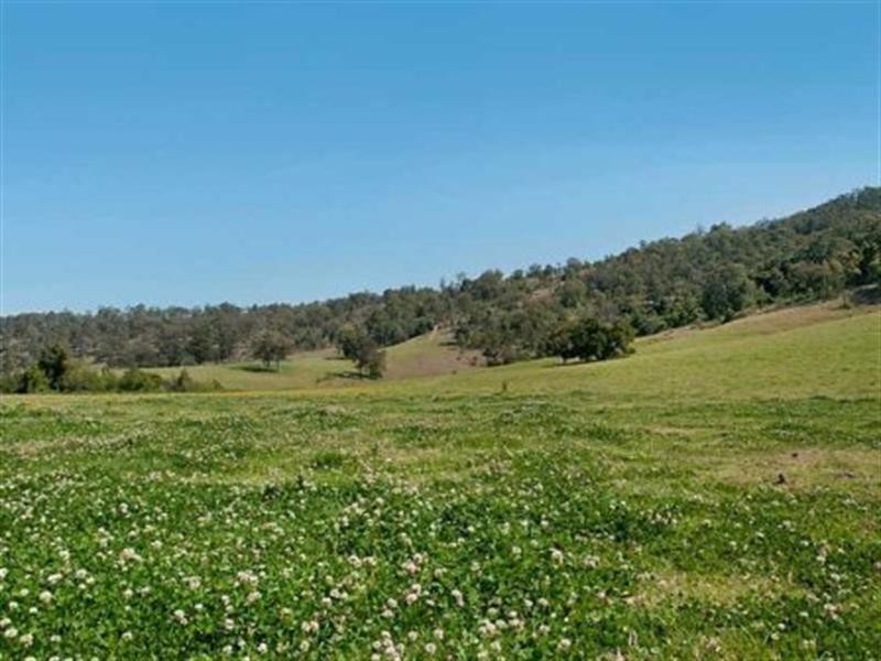 East Gresford NSW 2311