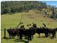 East Gresford NSW 2311