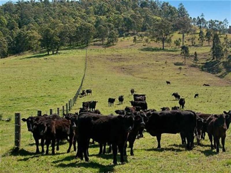 East Gresford NSW 2311