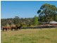 East Gresford NSW 2311