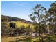 East Gresford NSW 2311