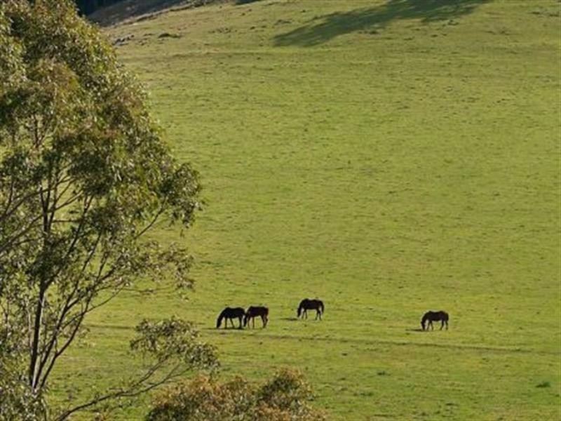East Gresford NSW 2311