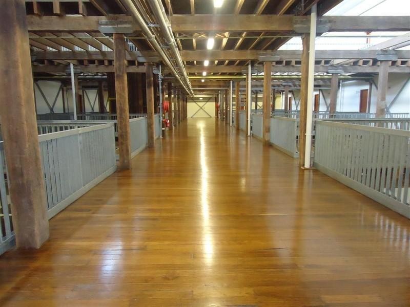 209/14 Milford Street, Islington NSW 2296