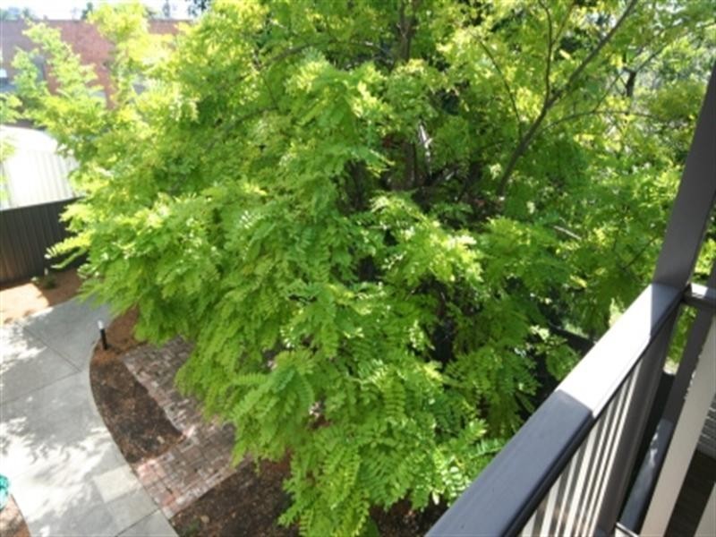 6/92A Young Street, Carrington NSW 2294