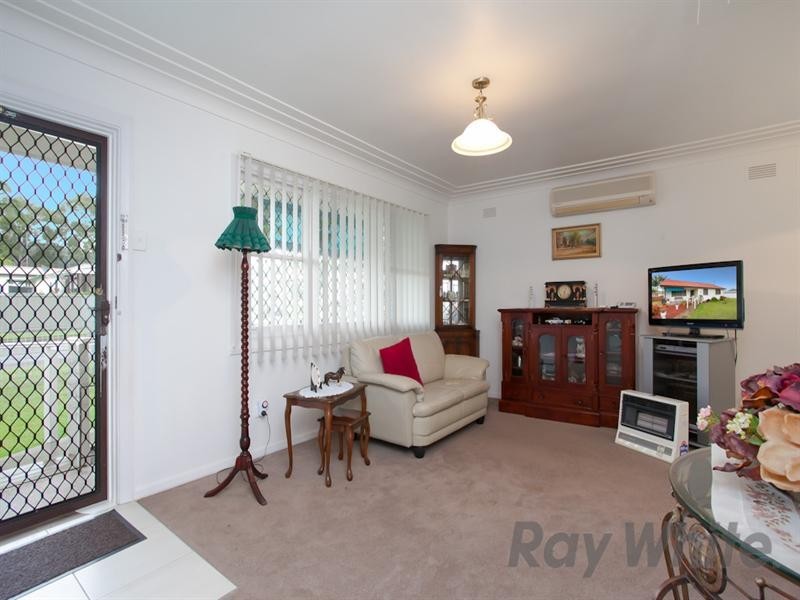 2 Alexander Street, Mount Hutton NSW 2290