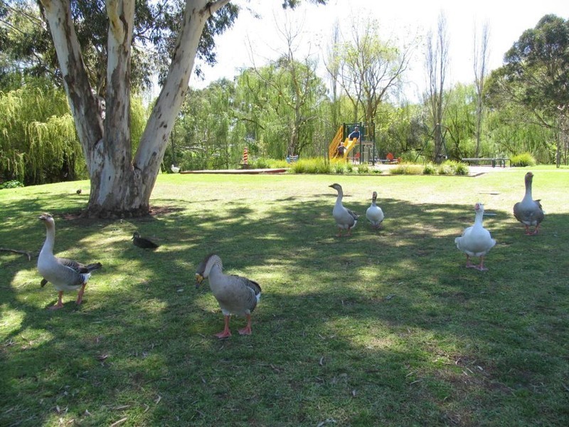 16 Ella Crescent, O’halloran Hill SA 5158