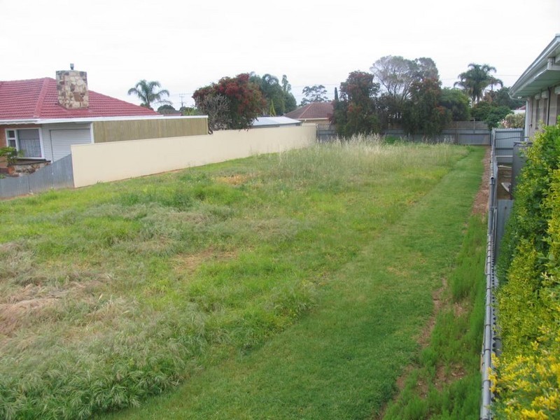 13 Tudor Avenue, Clovelly Park SA 5042