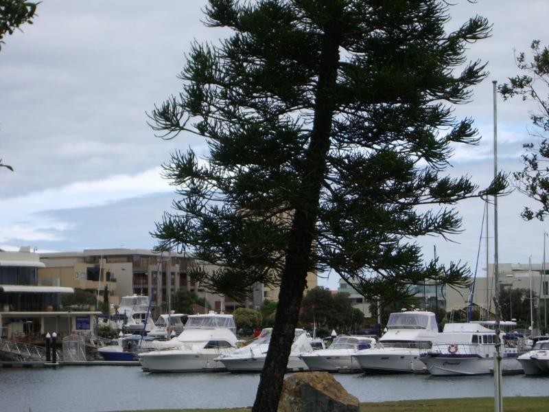 2/4 Adelphi Terrace, Glenelg North SA 5045