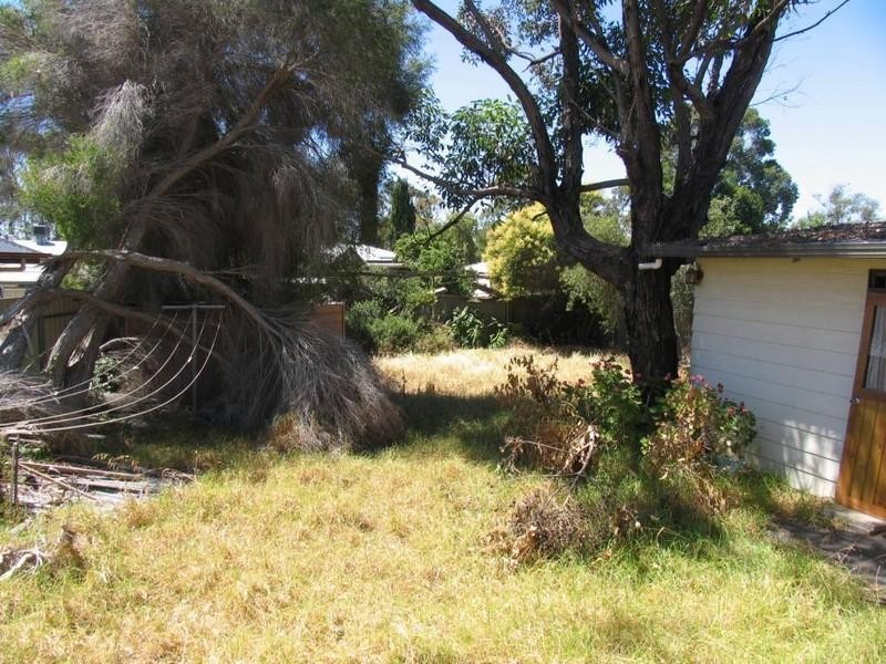 11 Carlow Street, Sturt SA 5047