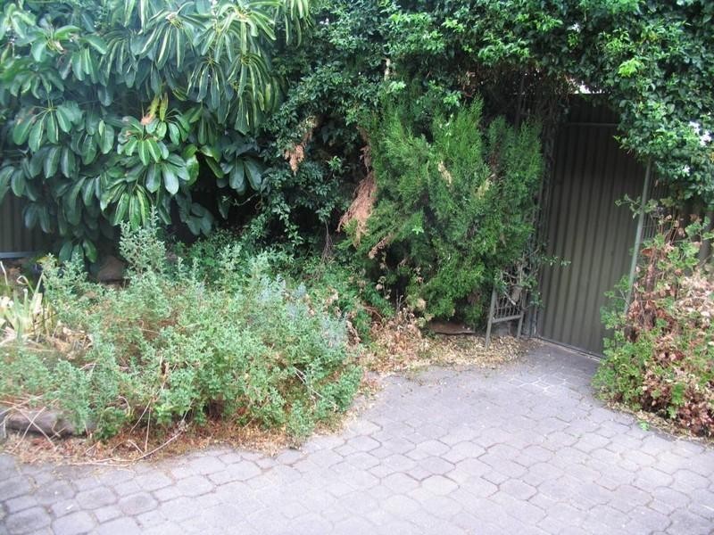 4/148 Edward Street, Clarence Gardens SA 5039