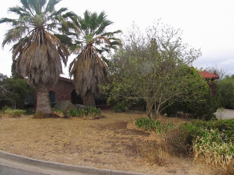 9 Craig Court, O’halloran Hill SA 5158