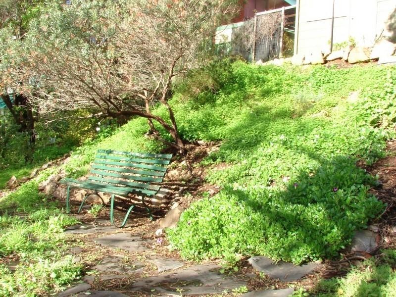 23 Tapson Crescent, Pasadena SA 5042