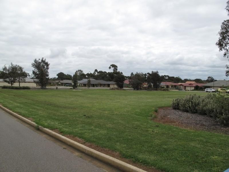 12 Withers Circuit, Evanston Park SA 5116