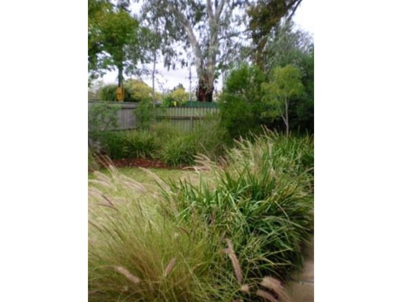 63 Grange Road, Colonel Light Gardens SA 5041