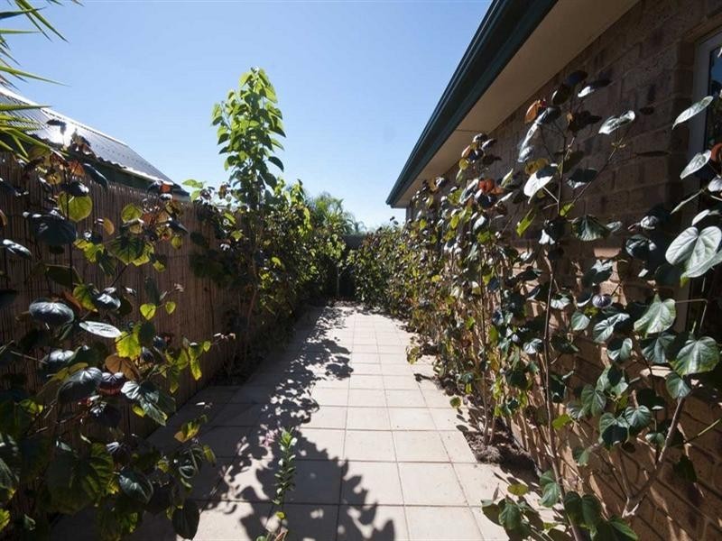 19 Heron Walk, Mawson Lakes SA 5095