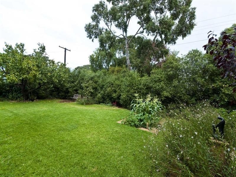 8 Broadway, Colonel Light Gardens SA 5041