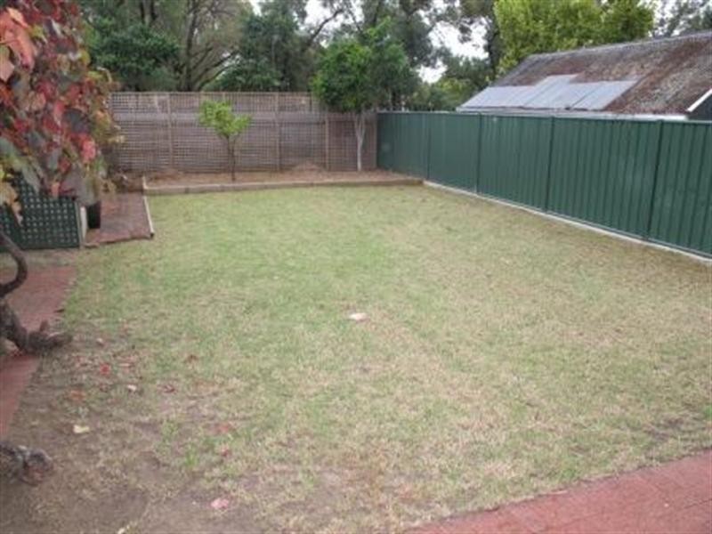 5 Hone Street, Parkside SA 5063