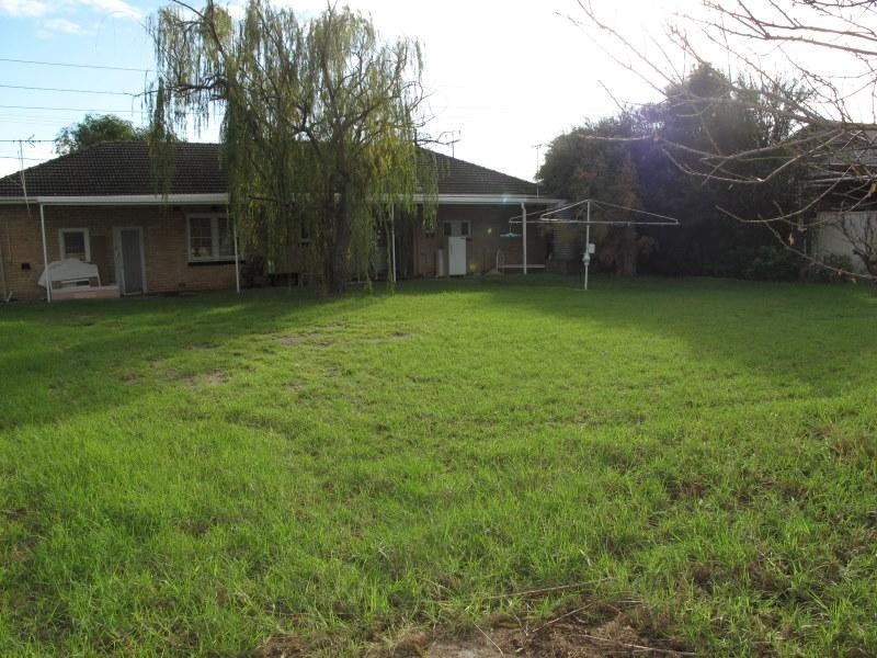 8 Collins Avenue, Edwardstown SA 5039