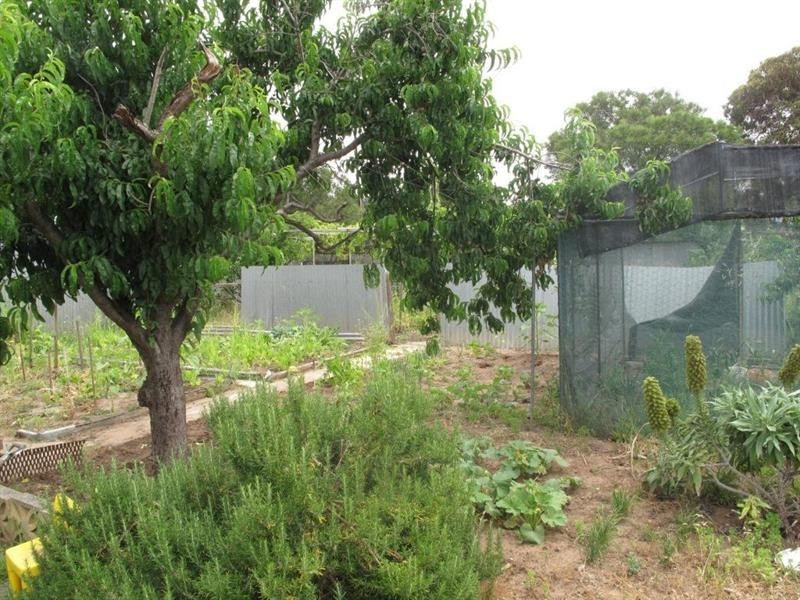 18 Ontario Avenue, Panorama SA 5041