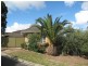 65 Fiveash Drive, Pasadena SA 5042