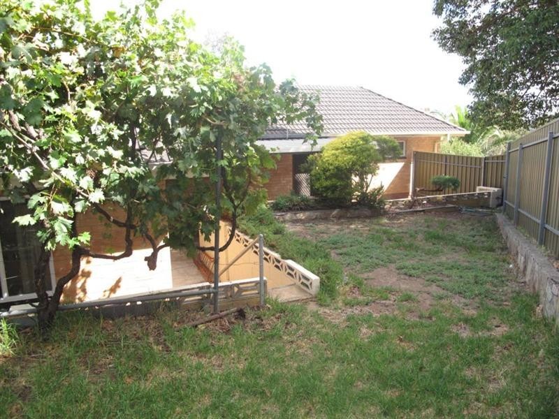 65 Fiveash Drive, Pasadena SA 5042