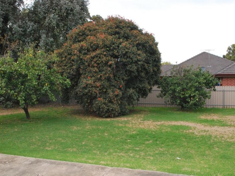 2/3 Carlton Street, Oaklands Park SA 5046