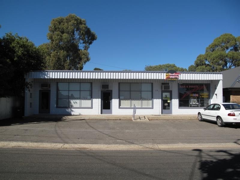 29 Quinlan Avenue, St Marys SA 5042