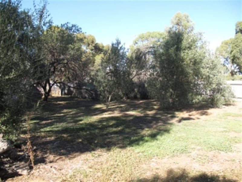 29 Quinlan Avenue, St Marys SA 5042