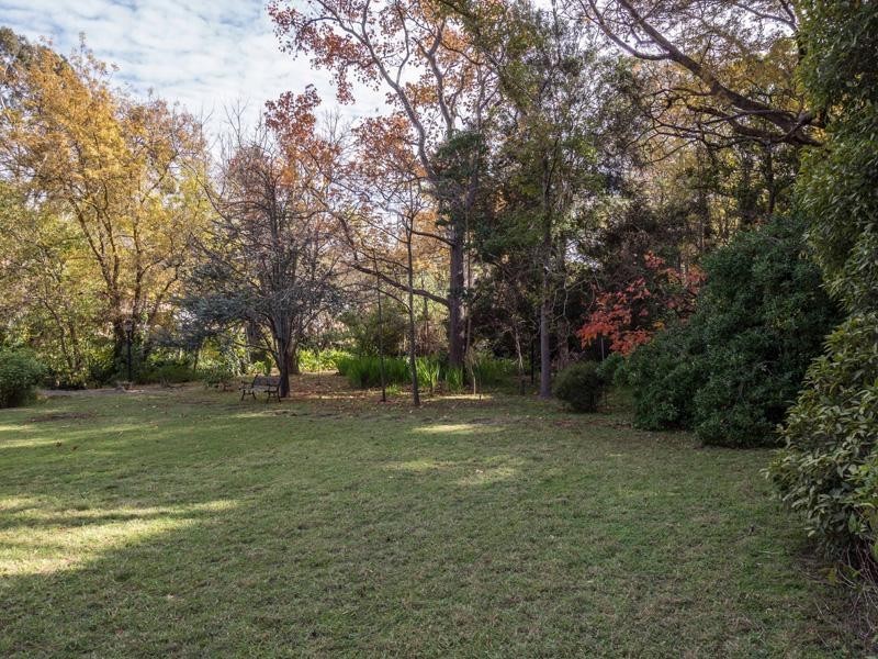 13 McAllan Avenue, Burnside SA 5066