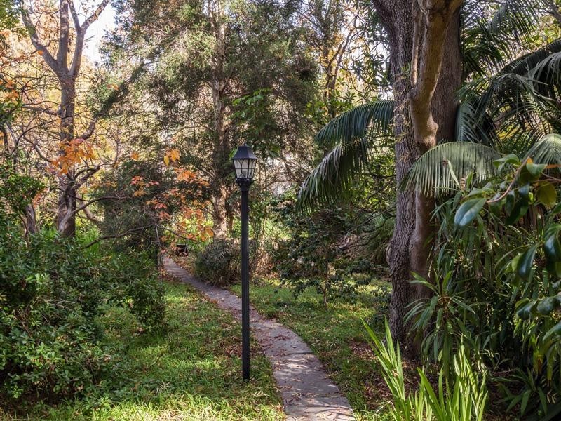 13 McAllan Avenue, Burnside SA 5066