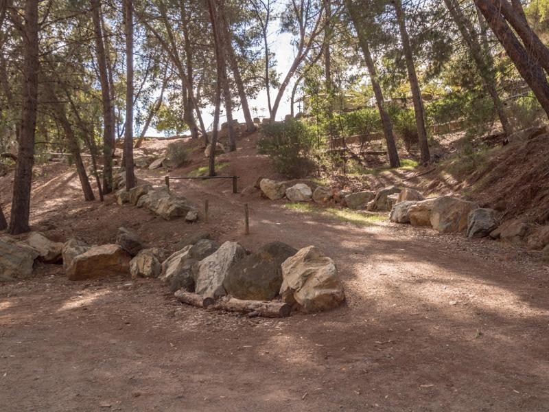 13 McAllan Avenue, Burnside SA 5066