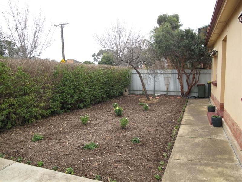 35 Allambee Avenue, Edwardstown SA 5039