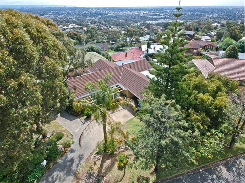 1 Hare Crescent, Panorama SA 5041