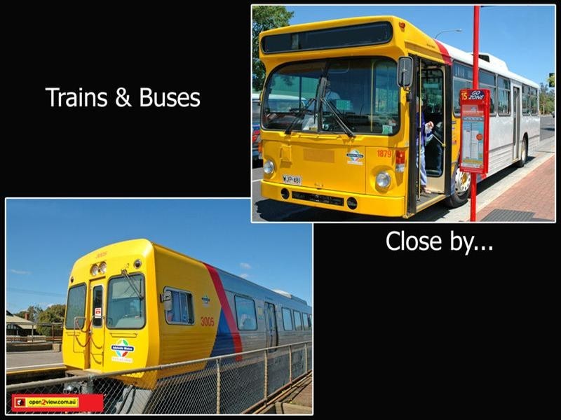 20 The Grove, Lower Mitcham SA 5062