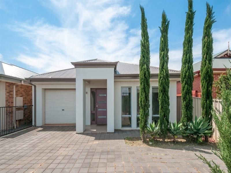 254a Diagonal Road, Oaklands Park SA 5046