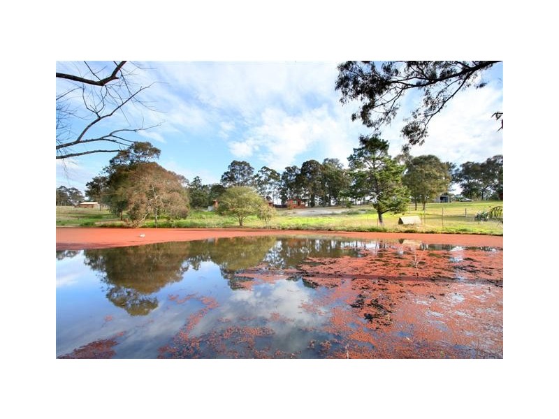 113 Old Pitt Town Road, Box Hill NSW 2765