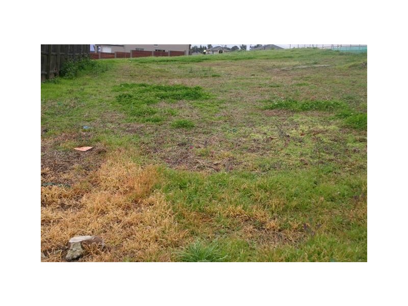 Beaumont Hills NSW 2155