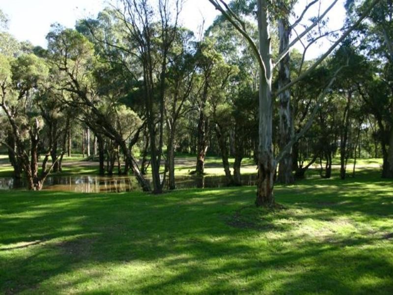 81 Vine Street East, Schofields NSW 2762