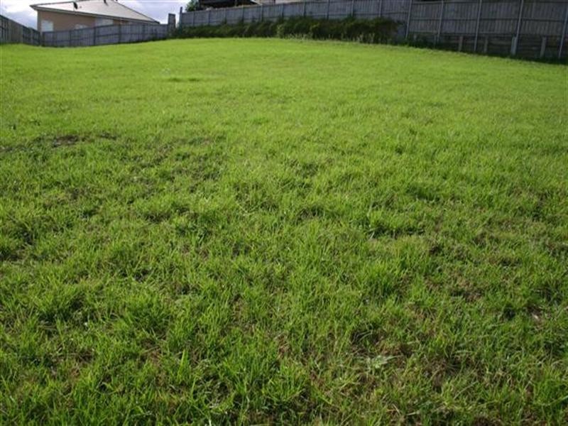 Beaumont Hills NSW 2155