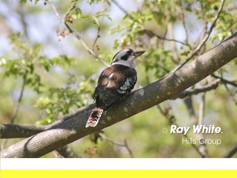 Wisemans Ferry NSW 2775