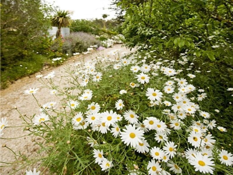 Lot 100 Station Road, Bugle Ranges SA 5251