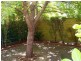 18 Wycombe Road, Aldgate SA 5154