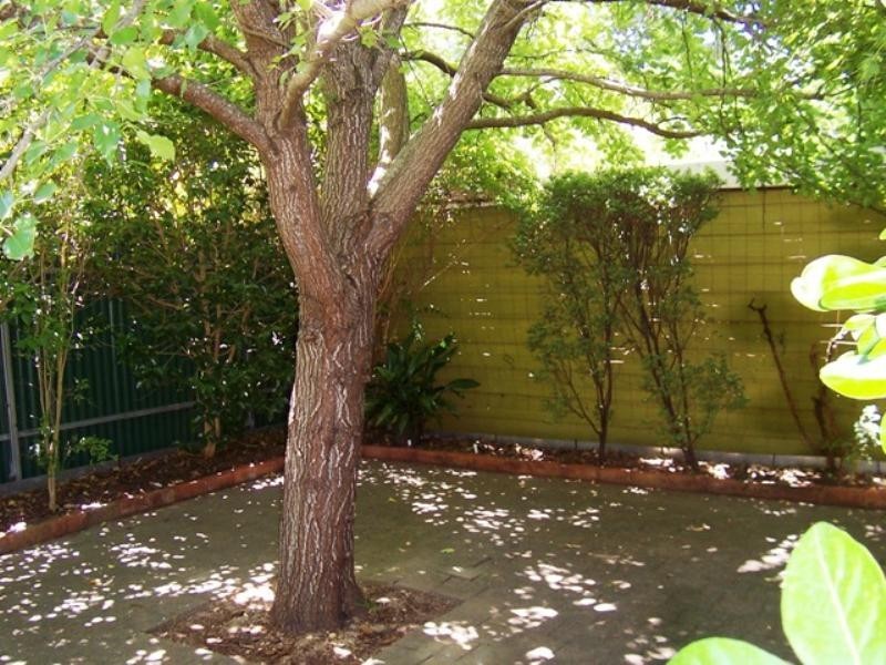 18 Wycombe Road, Aldgate SA 5154