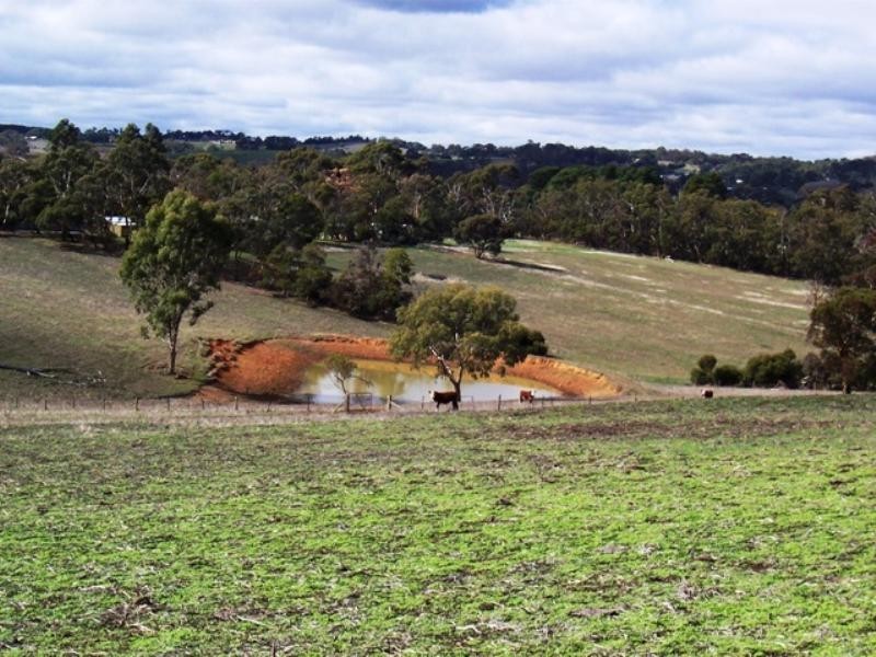 Lot 25 Kangaroo Reef Road, Hahndorf SA 5245