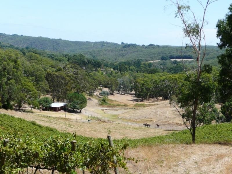 Lot 8 Morgan Road, Ironbank SA 5153